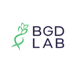 BGD Lab P.Studio Filmy reklamowe dla firm